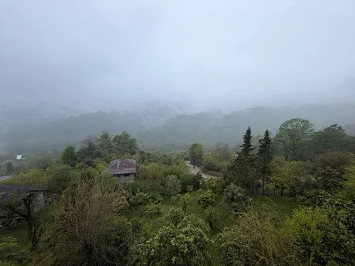 تصویر 18 - کلبه شیشه ای جنگلی اوج با جکوزی در  رامسر