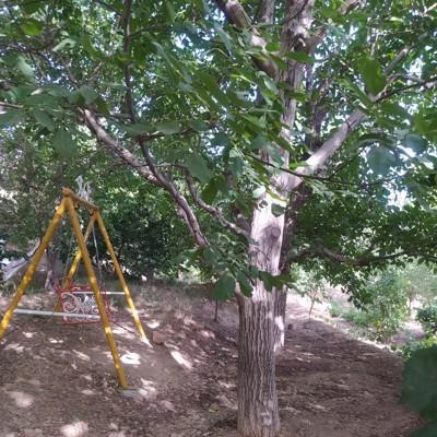 تصویر ۱ - اقامتگاه بوم‌گردی قلعه کوه سفید  در  تفرش
