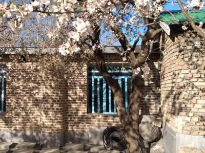 تصویر ۱ - ویلا  شهرزاد (1) در  همدان