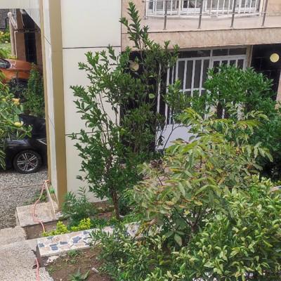 تصویر ۱ - ویلا مانیلا در  زیبا کنار