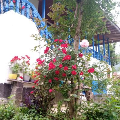 تصویر ۱ - روستایی و عشایری خانه احد در  فومن