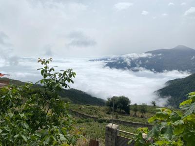 تصویر ۱ - ویلا هامون در  فیلبند