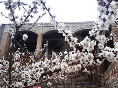 تصویر ۱ - اقامتگاه بوم‌گردی سرای ناظر (اتاق حیاط والده 5) در  سربیشه
