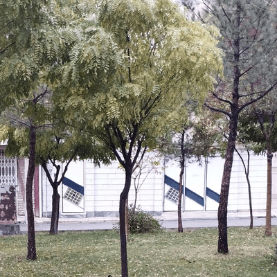 تصویر ۱ - خانه ویلایی پردیس (طبقه اول) در  بروجرد