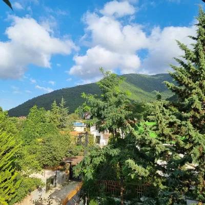 تصویر ۱ - ویلا جنگلی سردارجنگل  در  کلاردشت