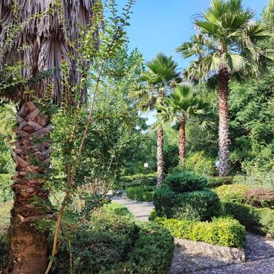 تصویر ۱ - ویلا  استخردار نرگستان در  رشت
