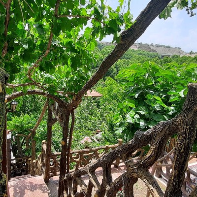 تصویر ۱ - ویلا استخردار آبگرم رویا در  شاندیز