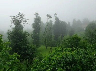 تصویر ۱ - ویلا جنگلی آپادانا روستای استخرگاه در  رستم آباد