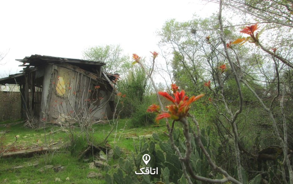 سفر به جزیره آشوراده