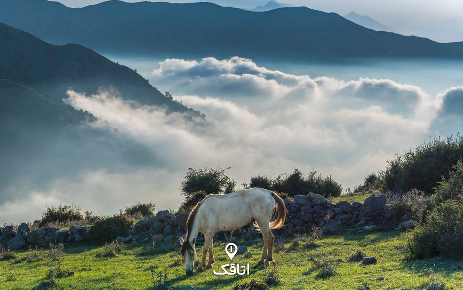 فیلبند، بام مازندران