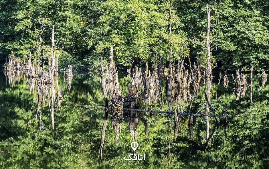 دریاچه ممرز مازندران