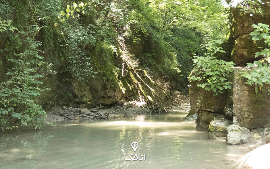 تنگ دار نوشهر 02