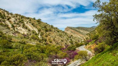معرفی جاهای دیدنی ایلام