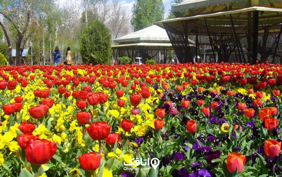 باغ گل های کرمانشاه | دومین باغ گل معروف ایران