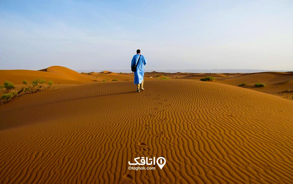 چگونه در بیابان زنده بمانیم، اصول بقا در طبیعت