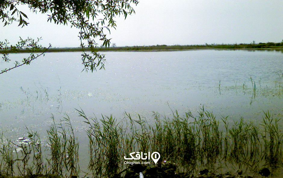 تالاب عزیزک بابلسر