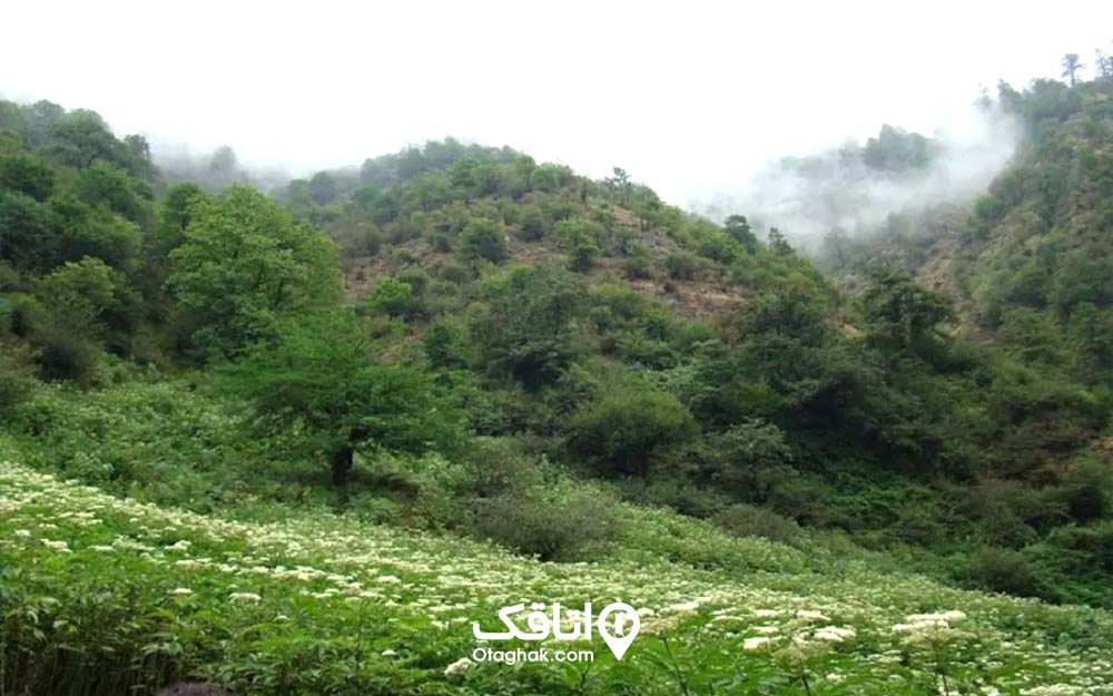 ییلاق آندره