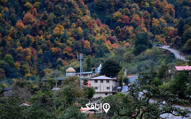 چند خانه و یک مسجد احاطه شده در جنگل سبزو زرد