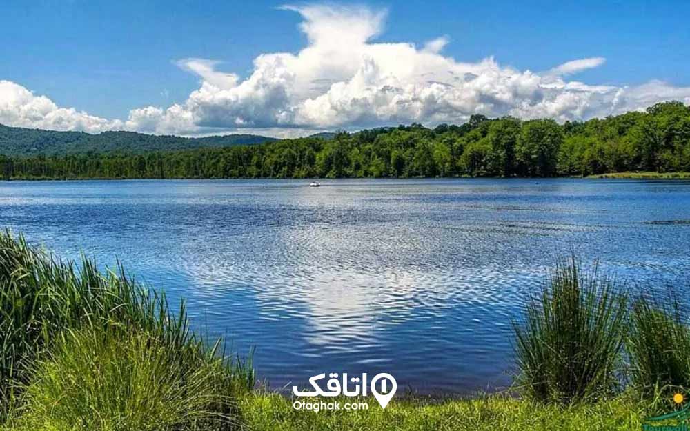 دریاچه بزرگ و آبی که اطراف ان درختان انبوه است، آسمان آبی با ابرهای حجیم سفید