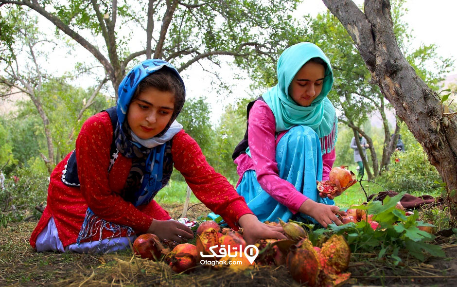 جشنی به سرخی انار در سراسر ایران