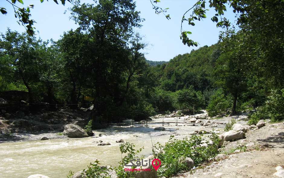 رودی در حال عبور از جنگلی سرسبز به نام جنگل زوات