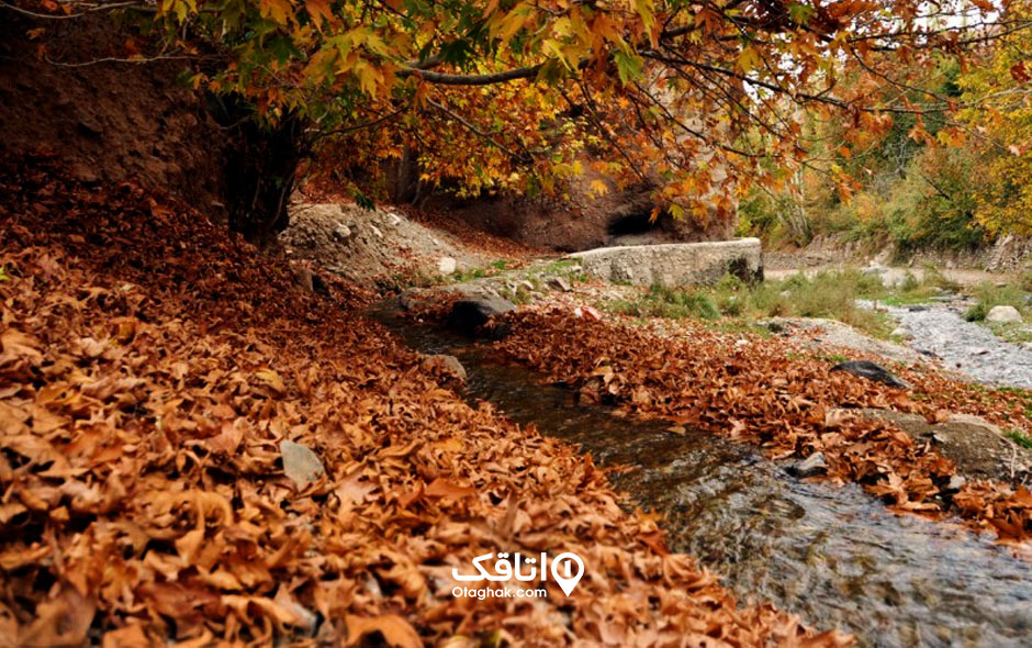 جاذبه توریستی و تفریحی روستای بوژان