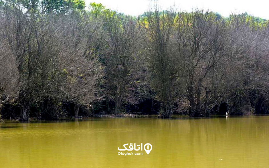 جاذبه توریستی و تفریحی تالاب کرچنگ یکی از معروف‌ترین جاهای دیدنی قائم شهر