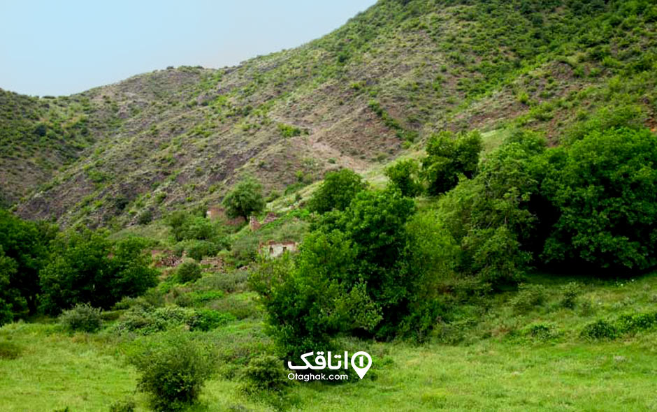 خیبوس، جنگلی حفاظت شده از جاهای دیدنی قائم شهر