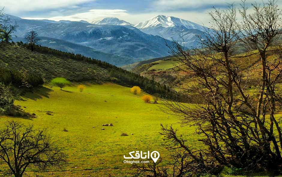 نمایی از کوهستانی جنگلی، قسمتی از کوهستان جنگل است و قسمتی دشت است