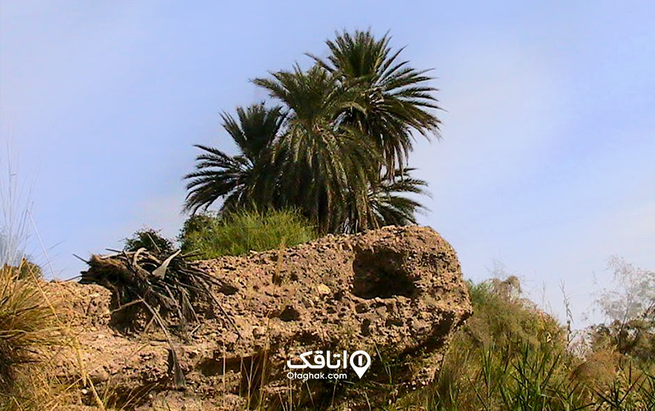 منطقه حفاظت شده هرمود شهر لارستان