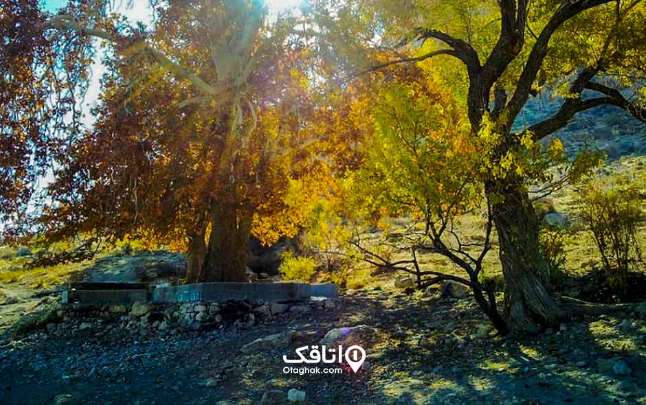 جاذبه توریستی و تفریحی بیدبخون