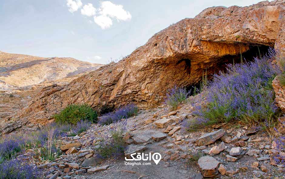 غاری در میان کوهستان در دهانه ی آن گل هایی بنفش رنگ روییده است به نام غار مغان
