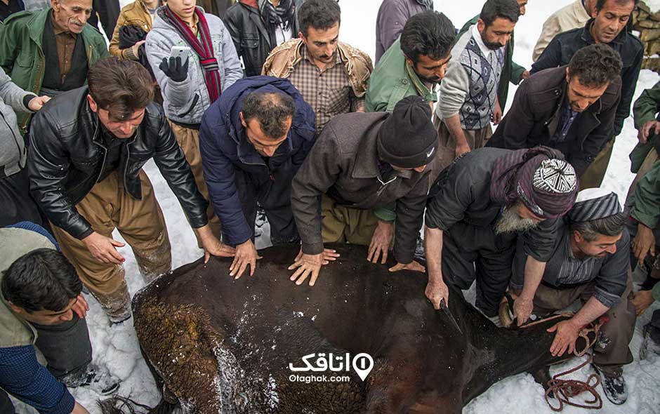 مراسم پیر شالیار