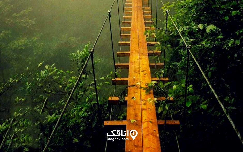 پل معلق بالای جنگل و در ارتفاع
