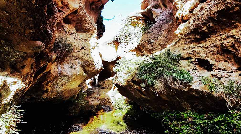 جاهای دیدنی سلفچگان