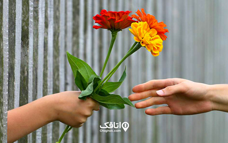 روز جهانی مهربانی