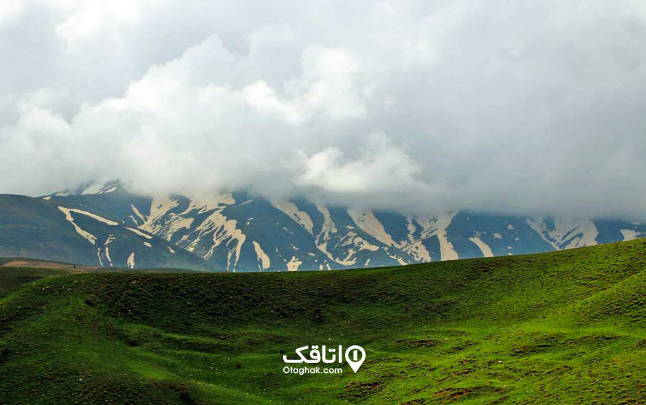 منطقه سیلوانا