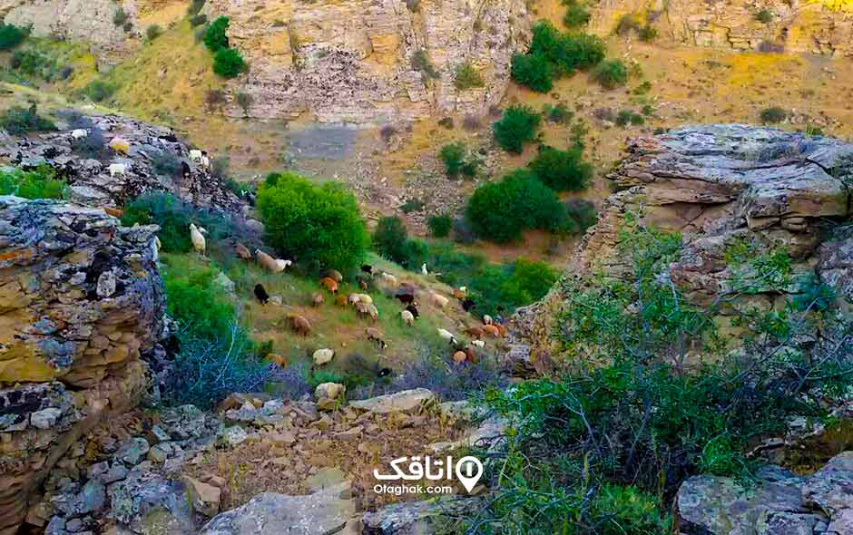 جاذبههای گردشگری راز