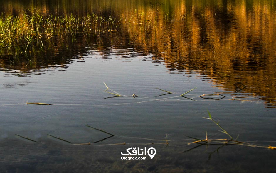 تالاب بامدژ