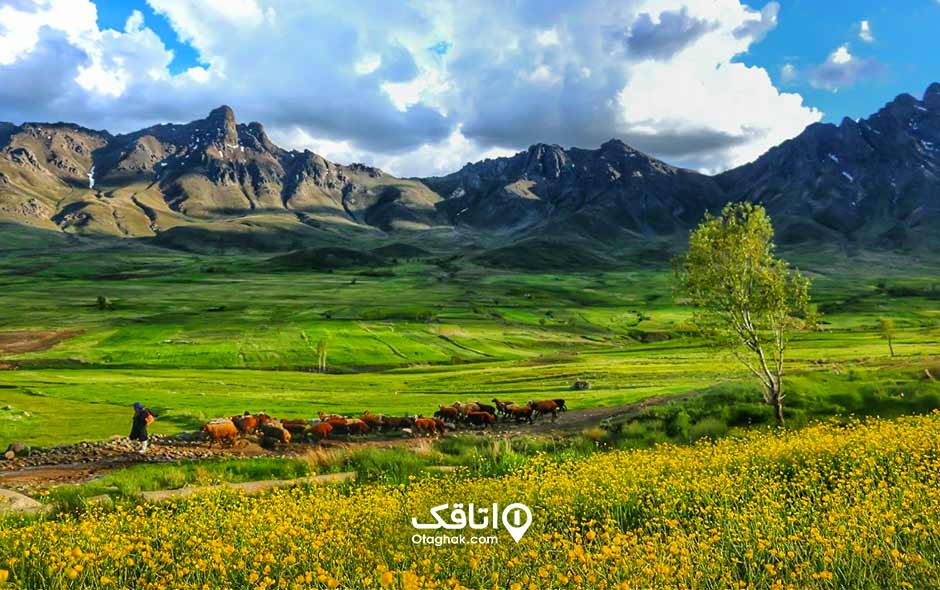 منطقه حفاظت شده بدر و پریشان