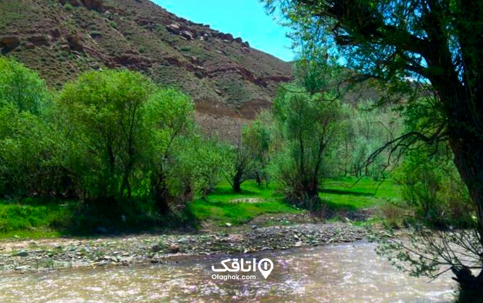 چاراویماق