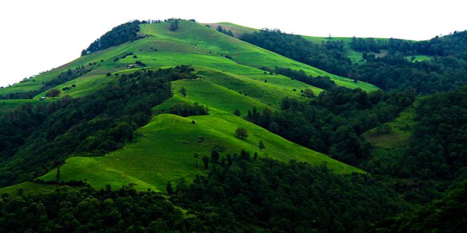 نمین