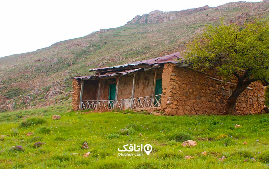 روستای قوهیجان