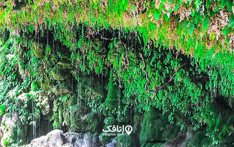 آبشار قطره باران