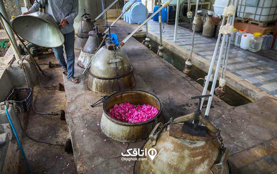 آشنایی با مراحل گلاب گیری