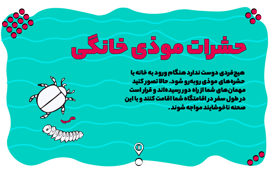 از بین بردن حشرات موذی