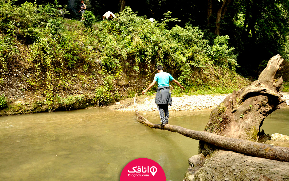 سفر یک روزه