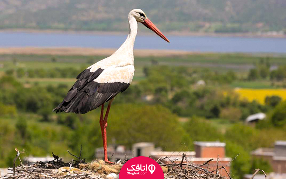 سفر به مریوان