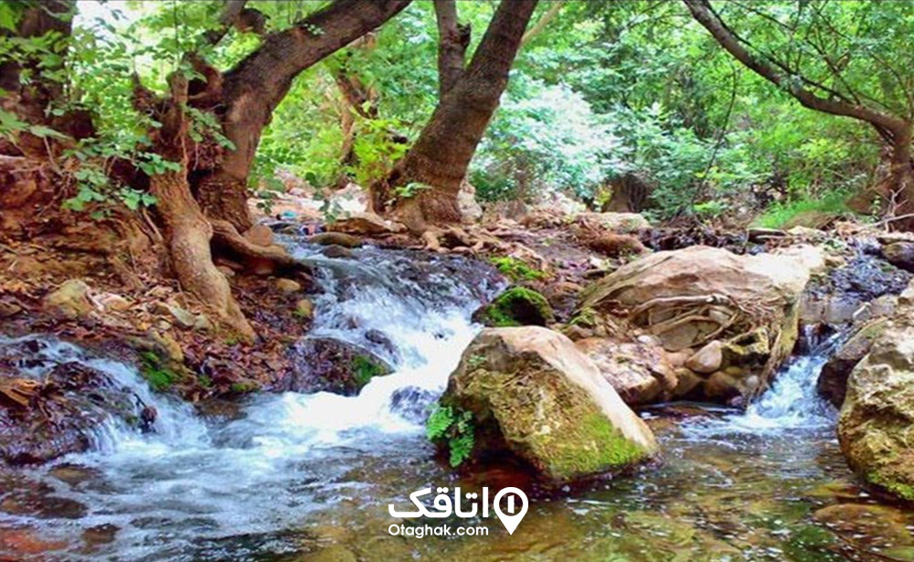 آبشار شیرز کوهدشت