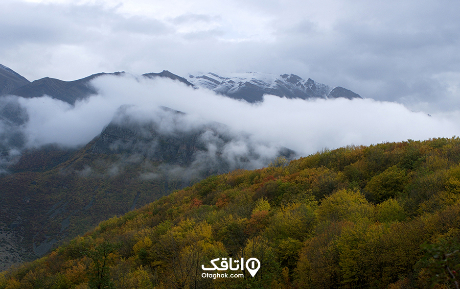 جنگل سیاه بیشه، مرموز و پر از مه
